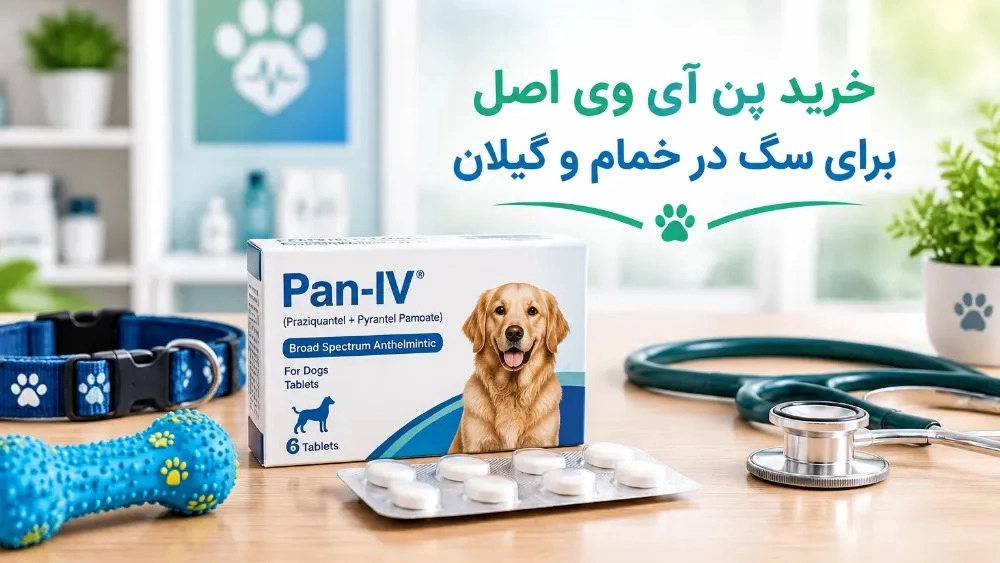 Khammam ve Gilan banliyölerindeki köpekler için orijinal IV kalemi satın alın