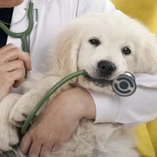 1694338633462.webp