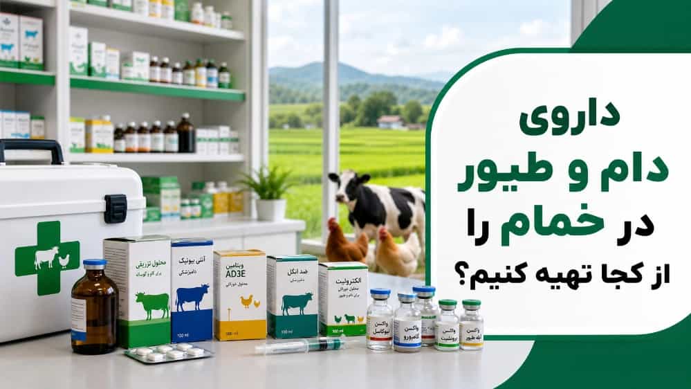 داروی دام و طیور در خمام را از کجا تهیه کنیم؟