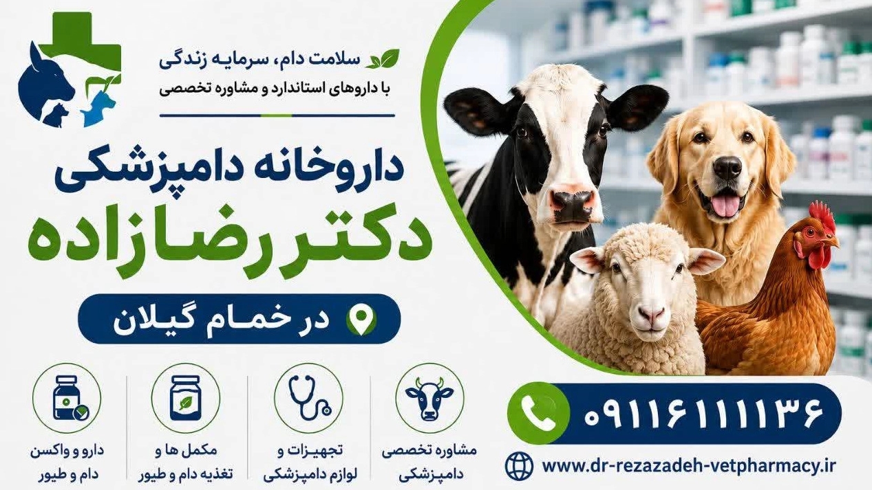 أقوى مضاد حيوي بيطري لأمراض الجهاز التنفسي والهضمي للمواشي والدواجن أقوى مضاد حيوي بيطري لأمراض الجهاز التنفسي والهضمي للمواشي والدواجن