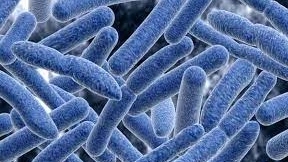 بیماری بوتوليسم بیماری بوتوليسم